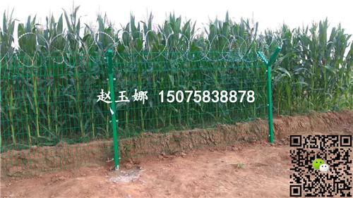 农业生产基地圈地护栏网规格和销售市场